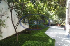 DINAMARCA, PROVIDENCIA - 6