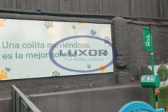 Diseño sin título - 14