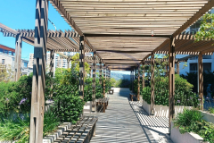 General Bartolome M. - 4