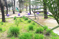 Las Acacias 180 - 10