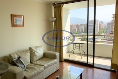 manquehue 555 - 1