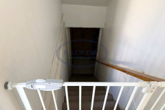 Perez Valenzuela - 8