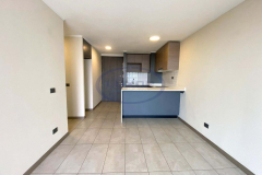 Rodrigo de Araya  - 2