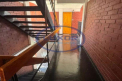 Diseño sin título - 1