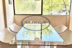 Diseño sin título - 11