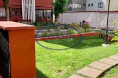 Diseño sin título - 2