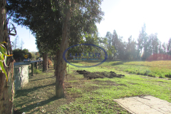 terreno - 3